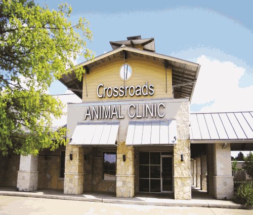 Houston animal clinic 